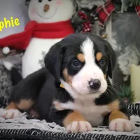 processed/589cc48f-b404-4713-afb8-99658cbc7a20/facility/9700003f-0c1e-4b2f-b21e-3c59791ae138