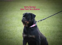 processed/589cc48f-b404-4713-afb8-99658cbc7a20/listing/4bd4df2e-0170-486f-8307-0d66fc99146f/04a55d36-9d92-4864-94ae-31ef8caebf9a