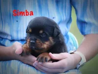 processed/589cc48f-b404-4713-afb8-99658cbc7a20/listing/4bd4df2e-0170-486f-8307-0d66fc99146f/1d96849e-acd8-4df6-80f0-a1e13d0d9b5b