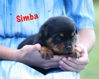 processed/589cc48f-b404-4713-afb8-99658cbc7a20/listing/4bd4df2e-0170-486f-8307-0d66fc99146f/485225d4-2334-47fd-8d58-f510aa055bb1