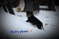 processed/589cc48f-b404-4713-afb8-99658cbc7a20/listing/4bd4df2e-0170-486f-8307-0d66fc99146f/fa4071b4-33a5-4403-af79-b5711e5a45e5