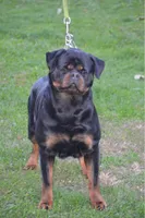 processed/589cc48f-b404-4713-afb8-99658cbc7a20/listing/709ec354-cc71-4d99-81cf-663e3f8d10ff/31bb8f4d-6b3a-4c88-96f2-1d5d9e72050c