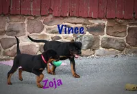 processed/589cc48f-b404-4713-afb8-99658cbc7a20/listing/709ec354-cc71-4d99-81cf-663e3f8d10ff/4047585e-46c3-4d2a-b8ad-3c362c4ca2d5