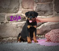 processed/589cc48f-b404-4713-afb8-99658cbc7a20/listing/709ec354-cc71-4d99-81cf-663e3f8d10ff/41279d61-6c11-471d-980f-2c869b885fa0