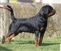 processed/589cc48f-b404-4713-afb8-99658cbc7a20/listing/709ec354-cc71-4d99-81cf-663e3f8d10ff/aba9cc04-9403-4185-9284-81c1c12087c1