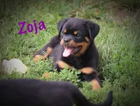 processed/589cc48f-b404-4713-afb8-99658cbc7a20/listing/709ec354-cc71-4d99-81cf-663e3f8d10ff/cd25e985-9e27-4743-a255-76abae9585fc