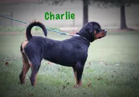 processed/589cc48f-b404-4713-afb8-99658cbc7a20/listing/9c1905f2-9b24-4e3a-bcb1-0d257776626e/3758a56a-600f-41c3-913d-799548dcf56b