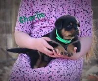 processed/589cc48f-b404-4713-afb8-99658cbc7a20/listing/9c1905f2-9b24-4e3a-bcb1-0d257776626e/50332341-ed9a-4265-b0be-75f6e0ab7f01