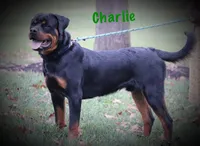 processed/589cc48f-b404-4713-afb8-99658cbc7a20/listing/9c1905f2-9b24-4e3a-bcb1-0d257776626e/507bf4f3-0360-4a32-b3f6-8c40544d81d6