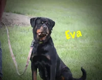 processed/589cc48f-b404-4713-afb8-99658cbc7a20/listing/9c1905f2-9b24-4e3a-bcb1-0d257776626e/63351440-fb7b-449a-b46e-c83ded6c6925