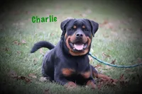 processed/589cc48f-b404-4713-afb8-99658cbc7a20/listing/9c1905f2-9b24-4e3a-bcb1-0d257776626e/6612a993-645b-4c32-a354-633a2616ea49