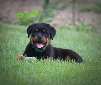 processed/589cc48f-b404-4713-afb8-99658cbc7a20/listing/9c1905f2-9b24-4e3a-bcb1-0d257776626e/aa1a4296-e6fb-4d61-b8cb-df13d3a390b0