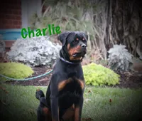 processed/589cc48f-b404-4713-afb8-99658cbc7a20/listing/9c1905f2-9b24-4e3a-bcb1-0d257776626e/e1ea0b37-542f-4cb4-88a9-017563bac810