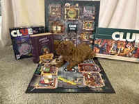 Colonel Mustard, a male Miniature Goldendoodle for sale in Burley, ID – Photo 3 of 4