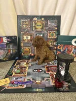 Professor Plum, a male Miniature Goldendoodle for sale in Burley, ID – Photo 2 of 2