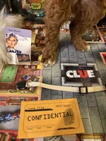 Mrs White, a female Miniature Goldendoodle for sale in Burley, ID – Photo 2 of 2