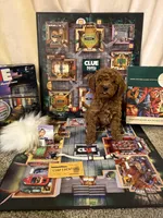 Mrs White, a female Miniature Goldendoodle for sale in Burley, ID – Photo 1 of 2