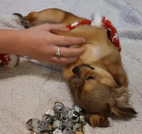 processed/589f69a7-fd56-4aee-b886-b3b92897ceac/listing/00437654-1d6c-45a3-94f9-8a3443196a16/462fb6a3-5700-4698-a0a1-cfcadc719159