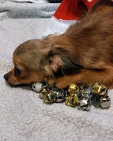 processed/589f69a7-fd56-4aee-b886-b3b92897ceac/listing/00437654-1d6c-45a3-94f9-8a3443196a16/7fe4c5a0-3602-43b4-9b58-bb1971c70352