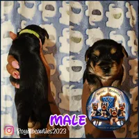 processed/589ff38f-4b1b-4dc4-af8a-6d6288a36208/facility/08fbb86e-78d8-423d-8a80-9e27e98c4675