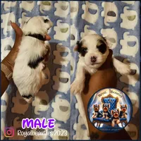 processed/589ff38f-4b1b-4dc4-af8a-6d6288a36208/facility/26b0aafc-cf4b-4843-87e1-42aa99f783af