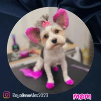 processed/589ff38f-4b1b-4dc4-af8a-6d6288a36208/facility/42913078-1f81-443d-84c0-0d2e3522164c