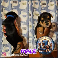 processed/589ff38f-4b1b-4dc4-af8a-6d6288a36208/facility/ee20dee1-d1a4-4e1e-8455-6d2ec7534796