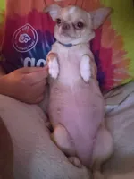 processed/58ac992e-3585-4042-8a8c-ab43c3dfffbb/listing/043b78be-b2fd-40a7-b719-ff4ea6858f1d/66c0b616-734b-4965-ac8c-9e0831854489