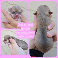 processed/58ac992e-3585-4042-8a8c-ab43c3dfffbb/listing/043b78be-b2fd-40a7-b719-ff4ea6858f1d/7504d5fa-fb94-460c-9a0e-e543fac33196