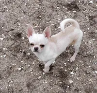 processed/58ac992e-3585-4042-8a8c-ab43c3dfffbb/listing/043b78be-b2fd-40a7-b719-ff4ea6858f1d/81a0bd87-6025-4b43-8621-7d1ba47ed512