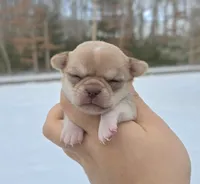 processed/58ac992e-3585-4042-8a8c-ab43c3dfffbb/listing/043b78be-b2fd-40a7-b719-ff4ea6858f1d/97e409b6-d88c-4960-a482-524ddbb2f951