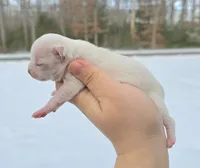 processed/58ac992e-3585-4042-8a8c-ab43c3dfffbb/listing/77c8edb4-26d5-469c-8b15-35161d1bafd8/825a821d-6fd5-45e4-b004-37cb6a97359f