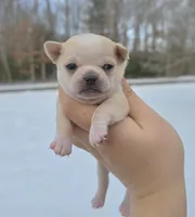 processed/58ac992e-3585-4042-8a8c-ab43c3dfffbb/listing/cb34d4ff-48c8-4309-aebe-f07e8d77b623/0cbce7aa-6d88-4a38-b424-83b6018d2b91