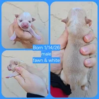 processed/58ac992e-3585-4042-8a8c-ab43c3dfffbb/listing/cb34d4ff-48c8-4309-aebe-f07e8d77b623/23b3f911-47a6-407b-ae33-59b28aadd8a5