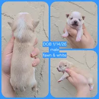 processed/58ac992e-3585-4042-8a8c-ab43c3dfffbb/listing/cb34d4ff-48c8-4309-aebe-f07e8d77b623/ceff6fea-7e94-4eee-8d60-32341babdb44