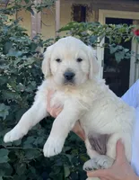 processed/58bb2e21-840f-4017-8d1e-b6ecaca6c492/listing/a18e480d-a8aa-48bc-8670-887e9ba26f8d/0d32d8b9-6a17-4cc7-9495-94f74785d405