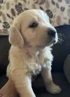 processed/58bb2e21-840f-4017-8d1e-b6ecaca6c492/listing/a18e480d-a8aa-48bc-8670-887e9ba26f8d/995b1b0b-8961-467a-8a6b-f197fbd33e9d