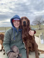 Reverend , a male Irish Setter for sale in Parkesburg, PA – Photo 2 of 2