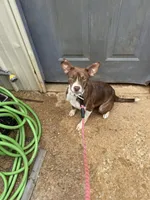 processed/58bfea2e-4fc4-4011-abf1-c3fb9007a2c1/listing/8634bd75-b394-408a-a0cc-29d640aabb9d/706cd5e1-fbf1-4899-9e68-81e3b24ab7e2