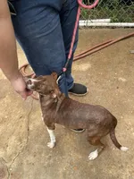 processed/58bfea2e-4fc4-4011-abf1-c3fb9007a2c1/listing/8634bd75-b394-408a-a0cc-29d640aabb9d/e88b1d9f-ec01-4894-90dd-adb64e8211be