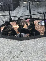 processed/58c26e9e-f062-4f66-9f6f-345d1df71059/facility/6516b340-c162-4976-ab70-74a5d3c030dd