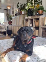 processed/58c26e9e-f062-4f66-9f6f-345d1df71059/facility/757d611b-6539-42ad-9fb2-947f655f6a0e