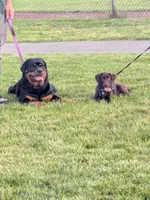 processed/58c26e9e-f062-4f66-9f6f-345d1df71059/facility/f2e7e1e4-11b9-4906-b84b-fe719b3eba8c