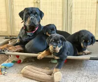 processed/58c26e9e-f062-4f66-9f6f-345d1df71059/facility/f3b653f7-e328-4568-87e9-800080c12e02