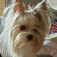 processed/58caaa39-4367-4152-85de-441289e3770e/facility/3e69bbdf-c362-4d83-abf9-a6af239ddd7d