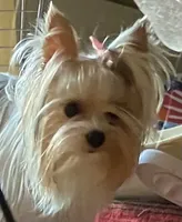 processed/58caaa39-4367-4152-85de-441289e3770e/facility/3e69bbdf-c362-4d83-abf9-a6af239ddd7d