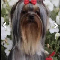 processed/58caaa39-4367-4152-85de-441289e3770e/facility/65233b05-24ec-4199-8a3b-126430570228