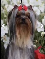 processed/58caaa39-4367-4152-85de-441289e3770e/facility/65233b05-24ec-4199-8a3b-126430570228