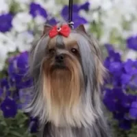 processed/58caaa39-4367-4152-85de-441289e3770e/facility/b248d49f-88cf-4b0b-a264-58c163833fd9