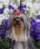 processed/58caaa39-4367-4152-85de-441289e3770e/facility/b248d49f-88cf-4b0b-a264-58c163833fd9